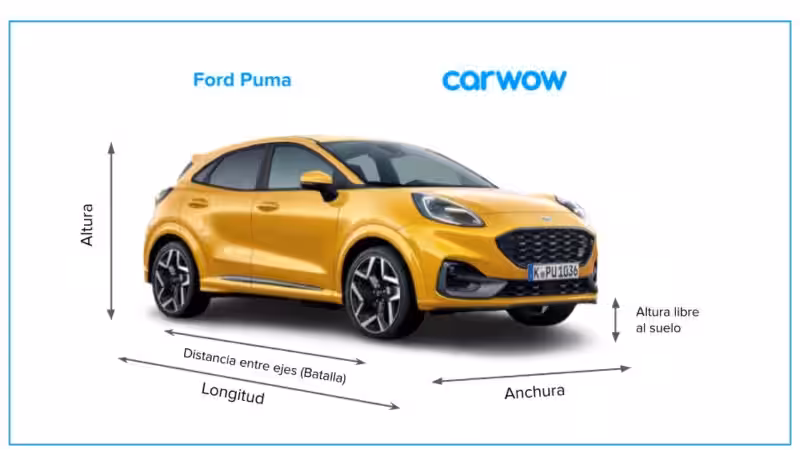 ford-puma-tamano