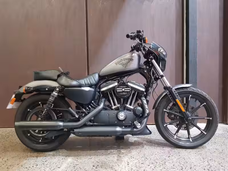 harley-davidson-iron-883-caballos